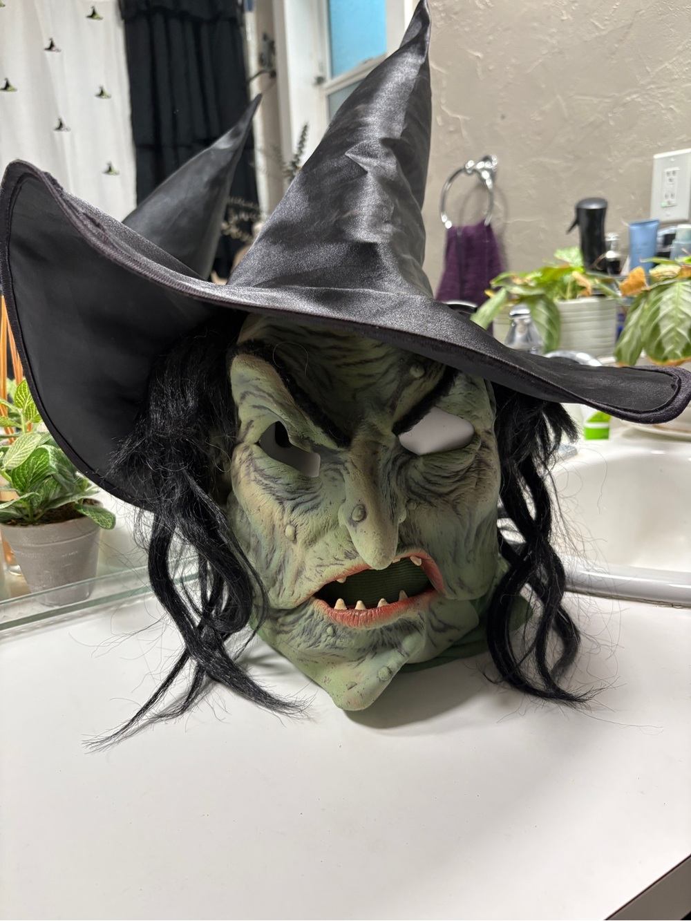 Witch Mask Costume Accessory - Green and Black
